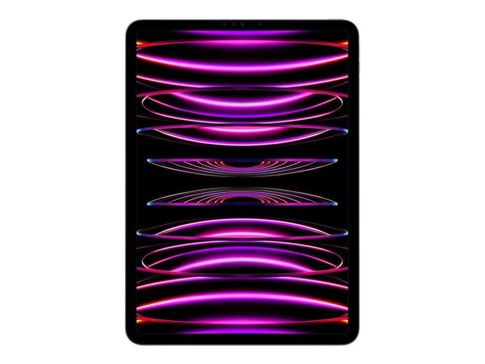 11 Inch Ipad Pro Wi Fi   4. Generation   Tablet   2 Tb   11" Ips (2388 X 1668)   Space Grey fra Apple